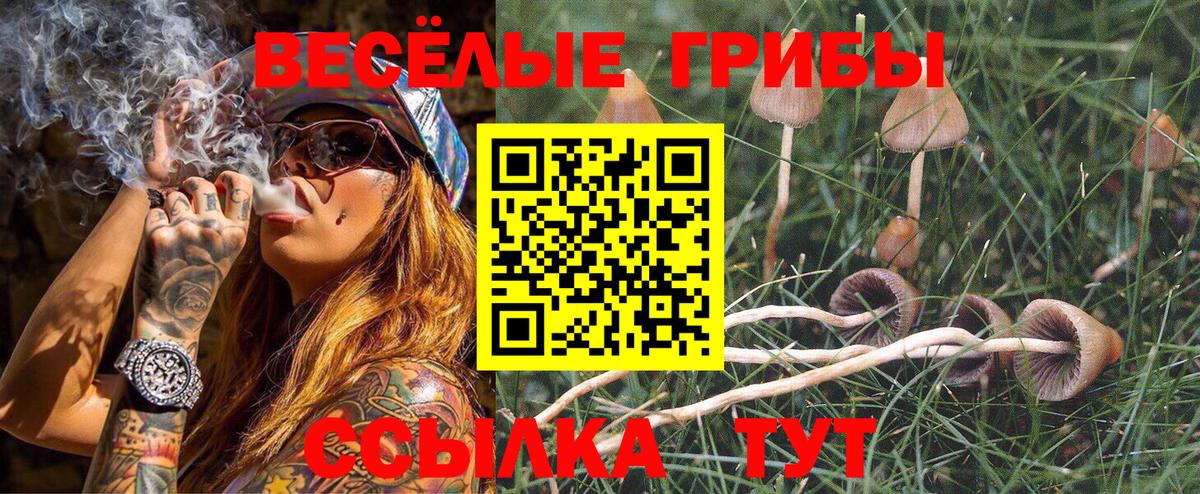 где купить наркоту  Галлюциногенные грибы Psilocybine cubensis  Вход с VPN  Троицк 